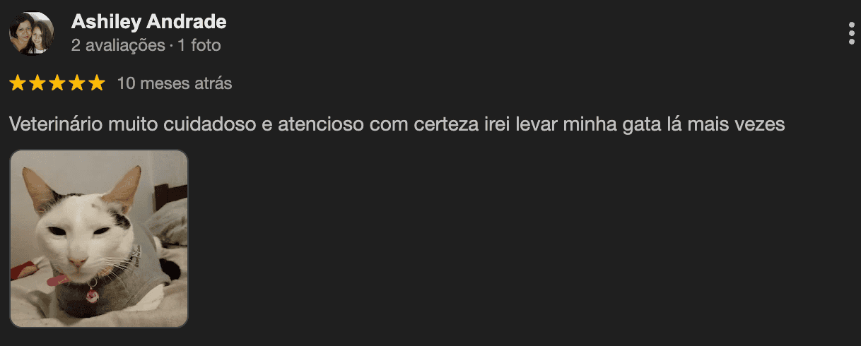Google Comment 2